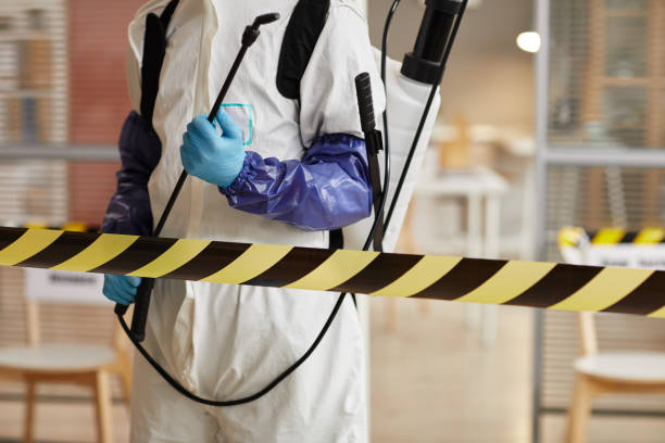 Professional Infectious Disease Decontamination technician working in Belmont, NH